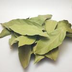 Liście laurowe, Liść laurowy, Laurel bay leaf