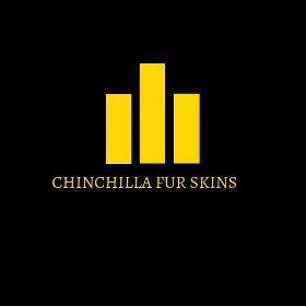 Chinchilla fur professionally tanned pelt skin dyed blue