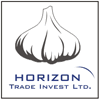 HORIZON TRADE INVEST LTD.