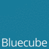 BLUECUBE TECHNOLOGY SOLUTIONS LTD - BIRMINGHAM