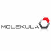 MOLEKULA LTD