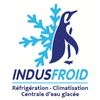 INDUSFROID