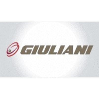 GIULIANI A BUCCI AUTOMATION DIVISION