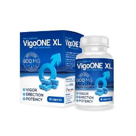 VigoONE XL