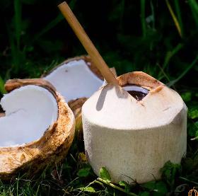 Świeży młody kokos