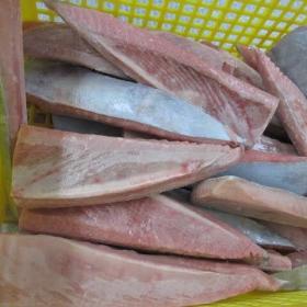 Mrożony brzuch tuńczyka żółtego płetwy