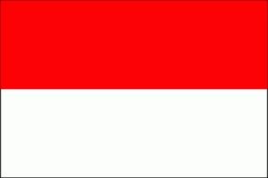 Usługi tłumaczeń indonezyjskich