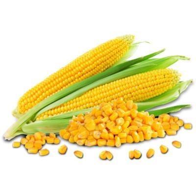 Żółta Kukurydza