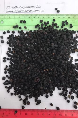 suszone owoce czarna jagoda , blueberry z runa lesnego