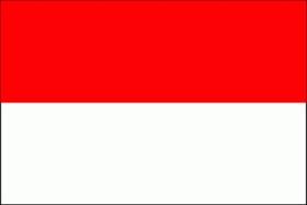 Usługi tłumaczeń indonezyjskich